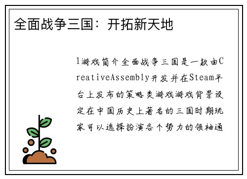 全面战争三国：开拓新天地